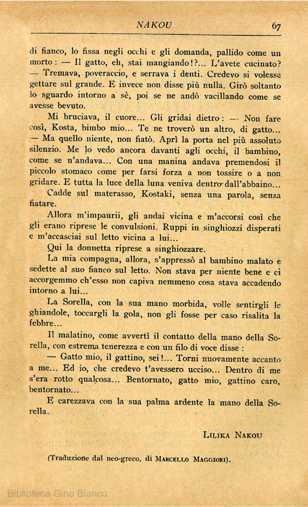 Page Background