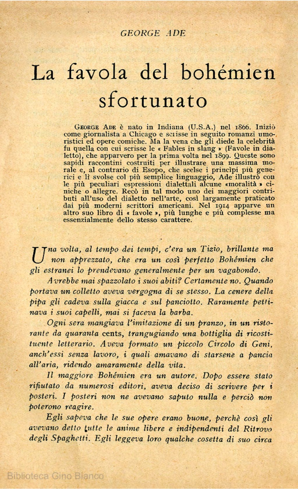 Page Background