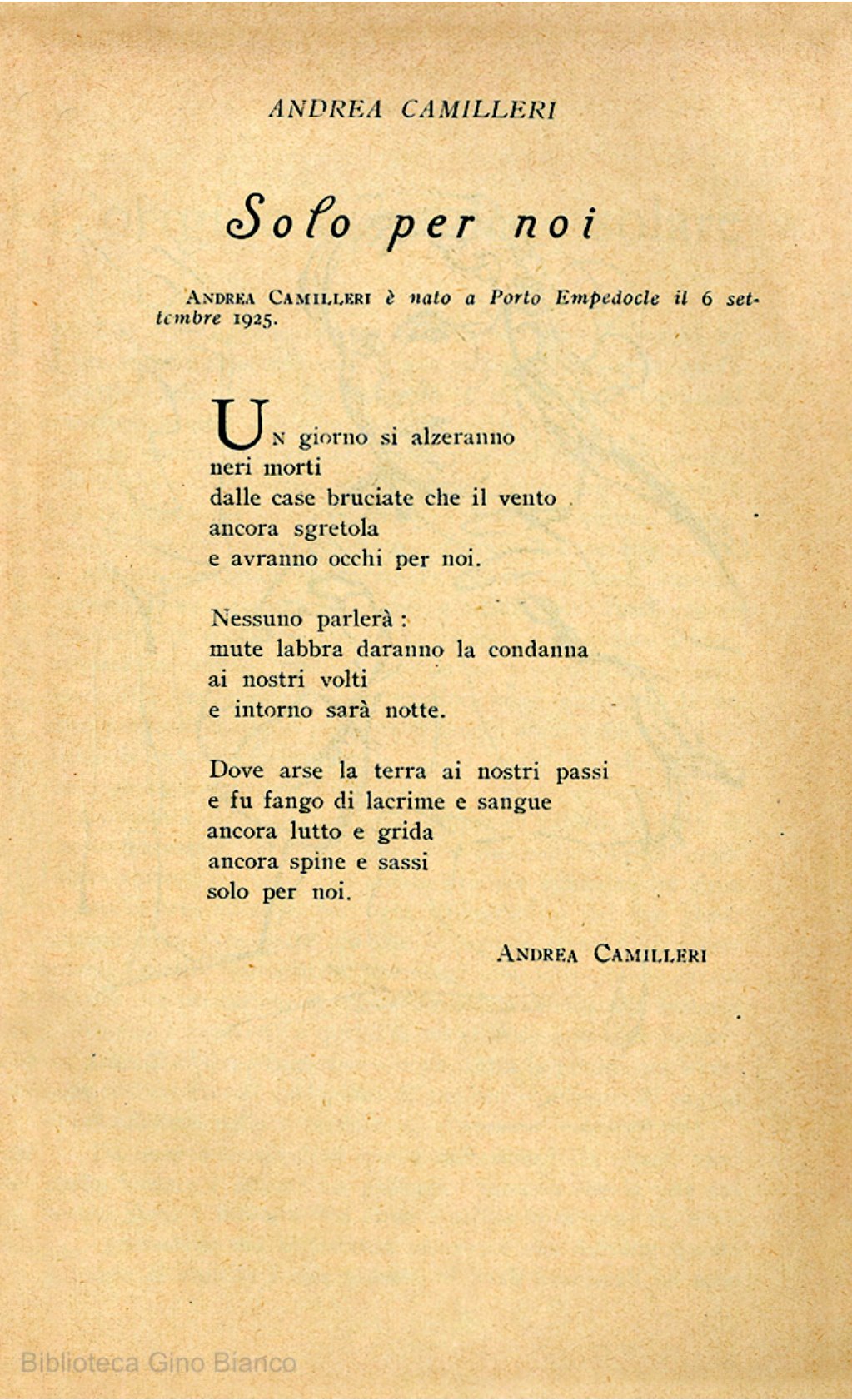 Page Background