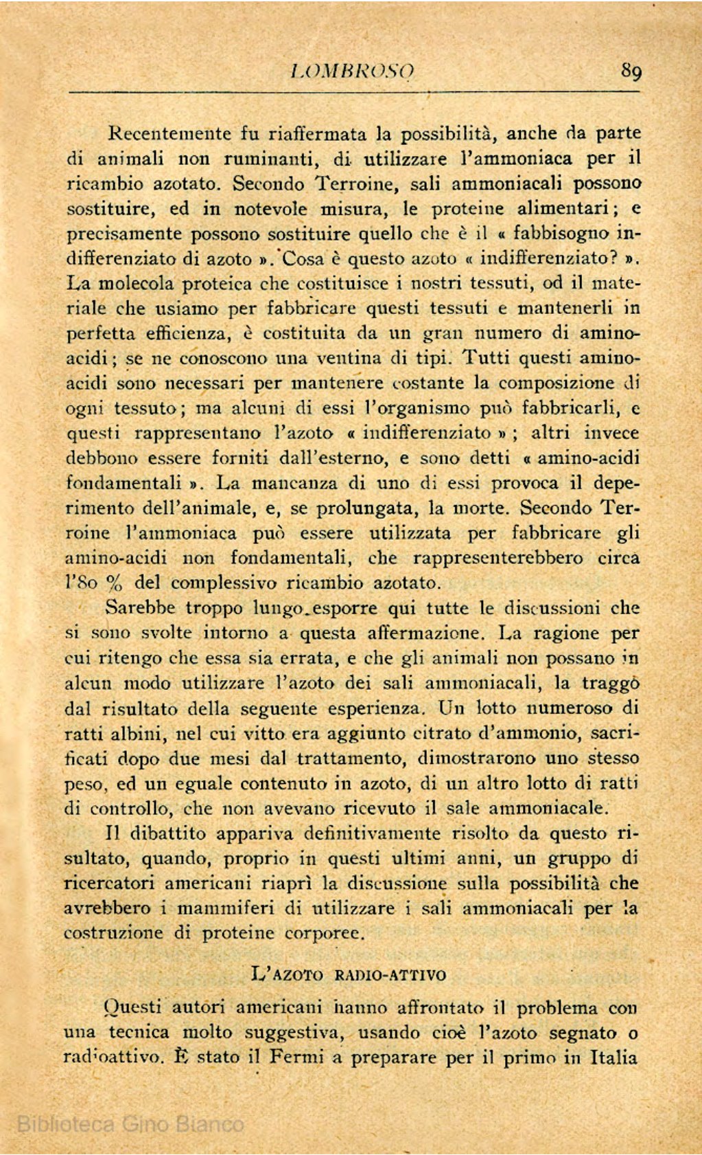 Page Background