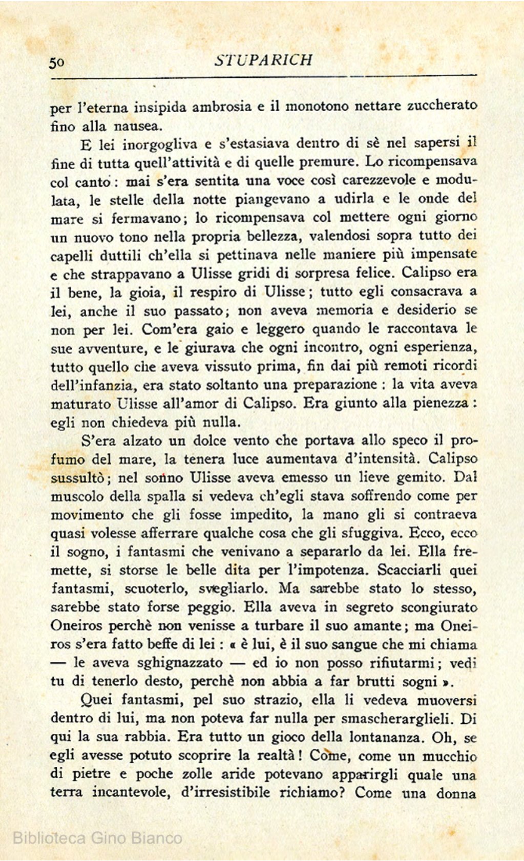 Page Background