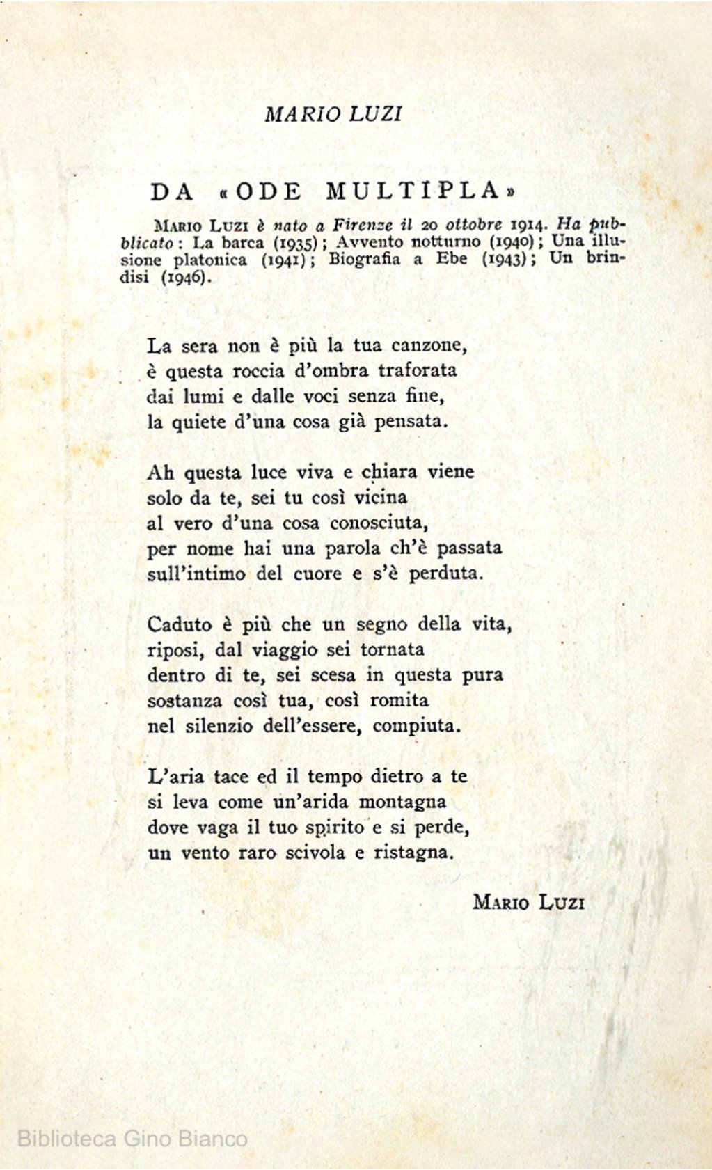 Page Background