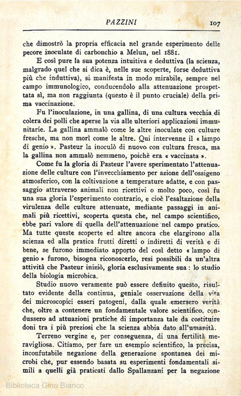 Page Background