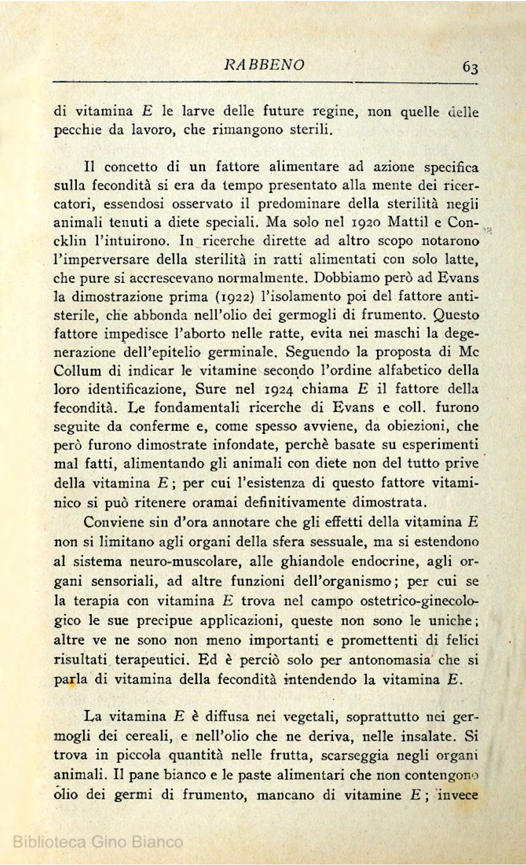 Page Background
