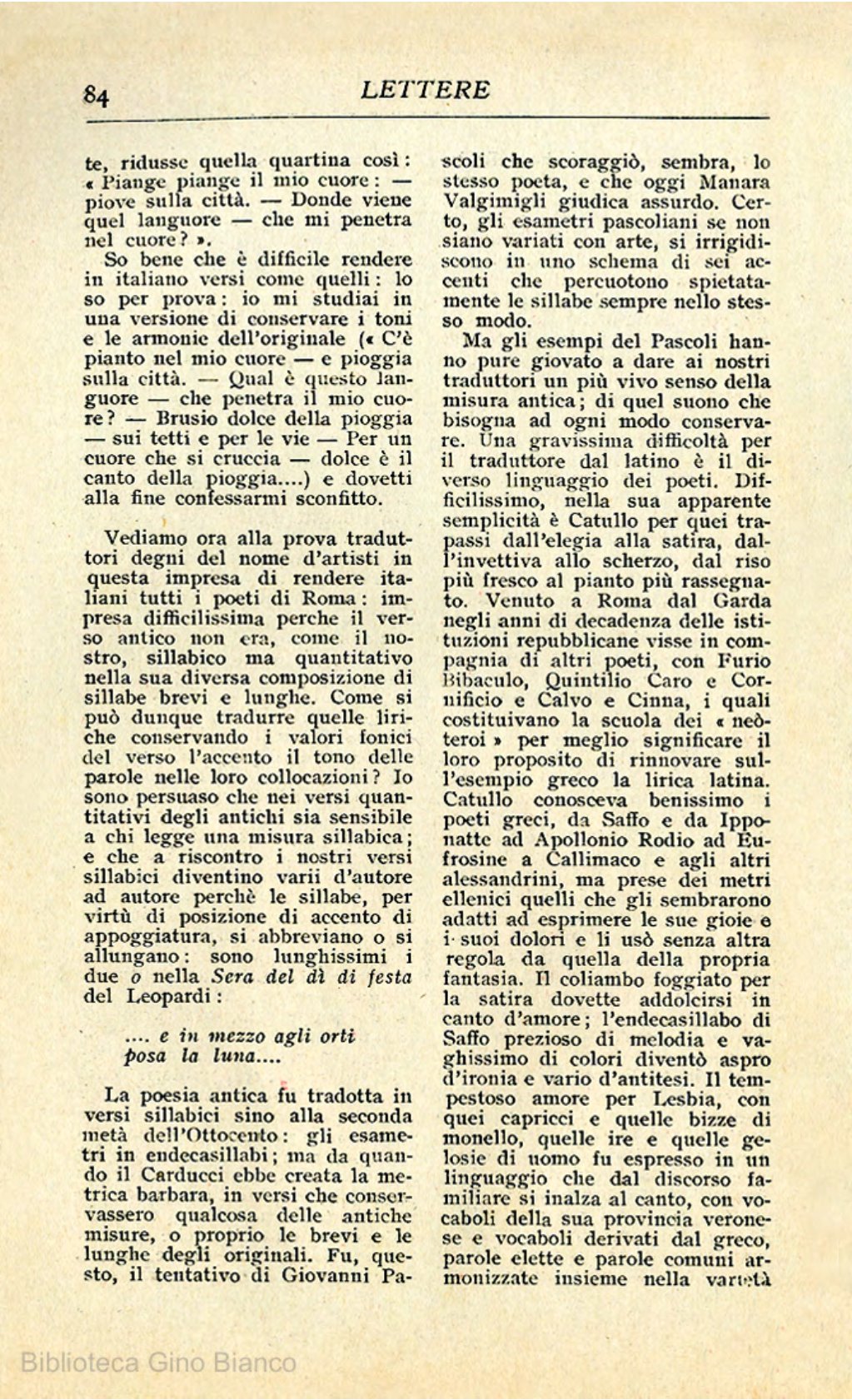 Page Background