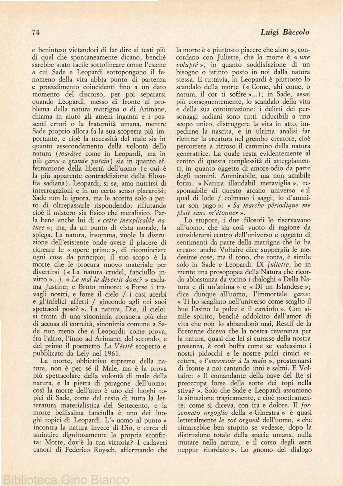 Page Background