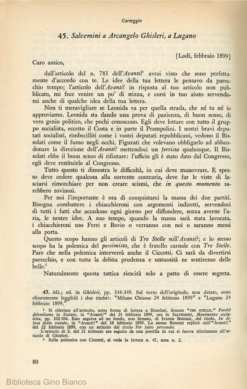 Page Background